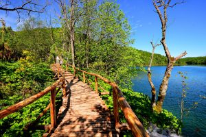 Activity - National park Plitvice Lakes