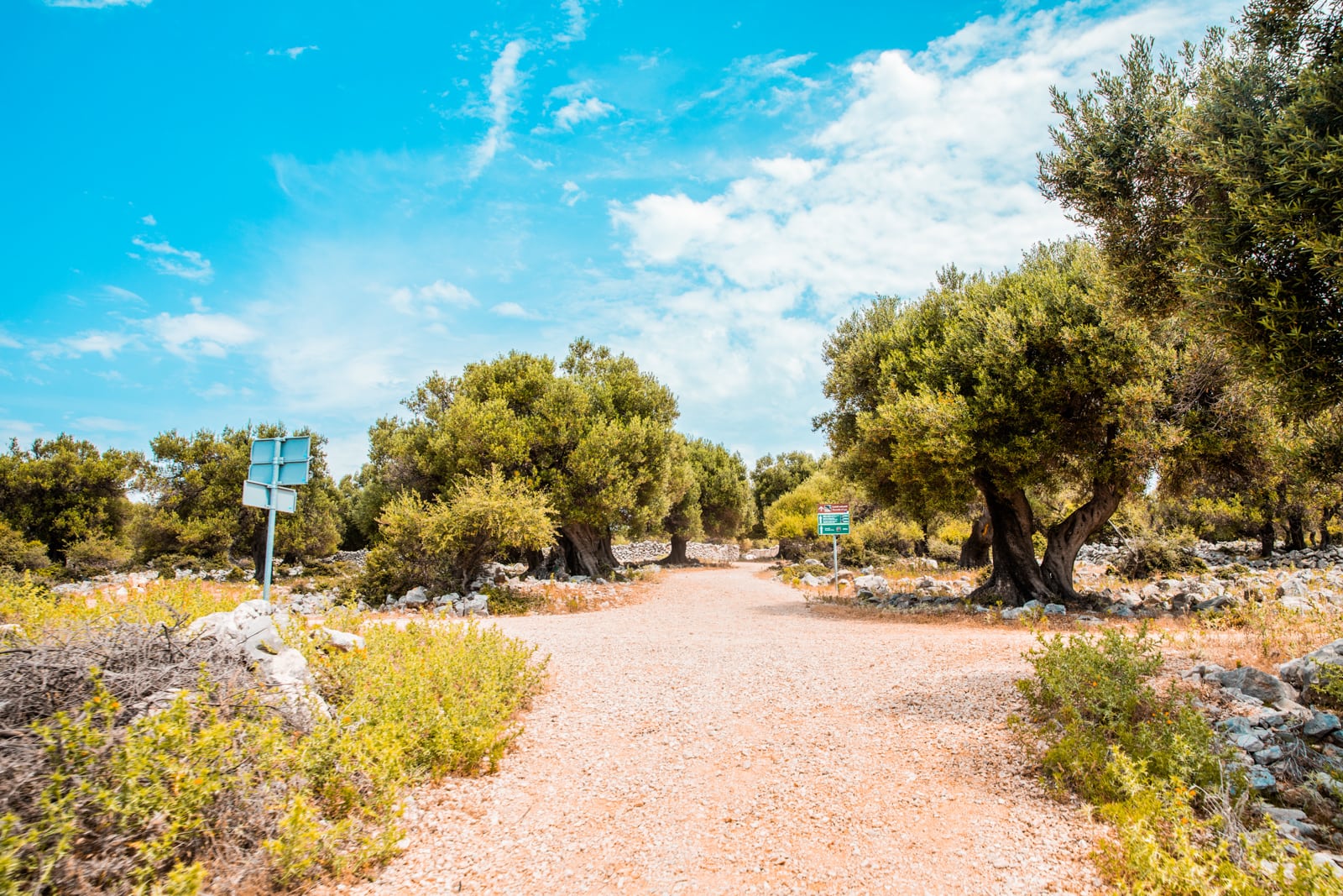 Strada degli Ulivi di Lun
