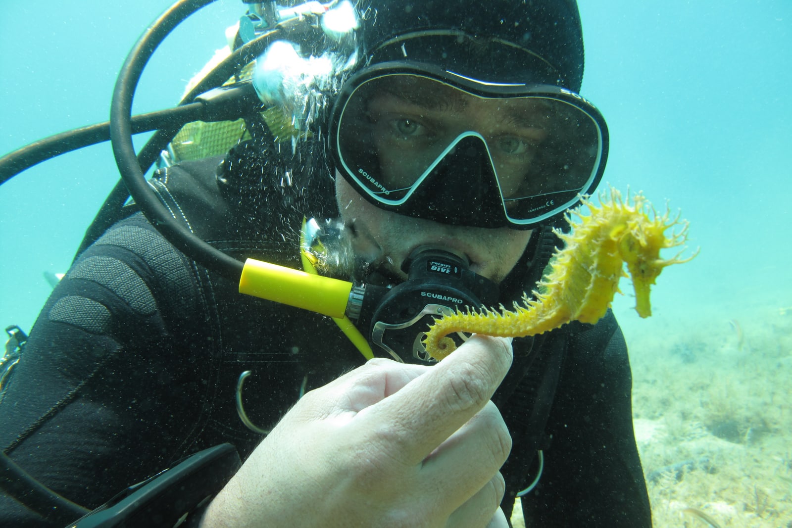 Diving – Programma Discovery