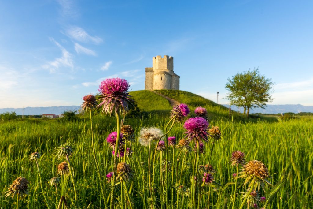 Pacchetti vacanza - ZADAR, NIN & PAG CULTURAL TOUR