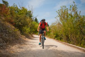 Activity – Bike Krka