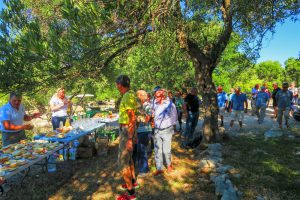 Activity - Roads Of The Island Pag