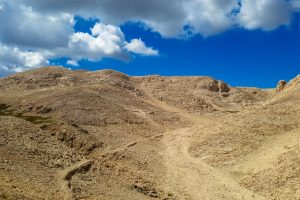 Activity – Kozje berdo