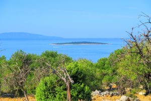 Activity - Lun Olive Tree Road