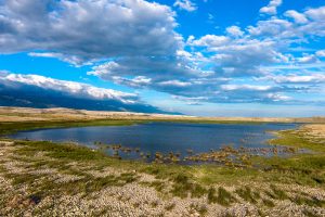 Activity – Walk Veliko blato