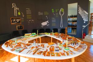 Activity - Lun Olive Tree Road