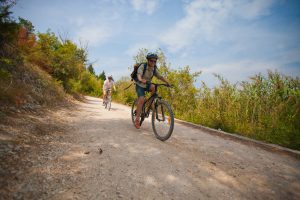 Activity – Bike Krka