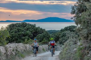 Activity – Bike Kolan