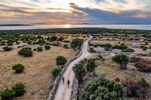Activity – Bike Kolan