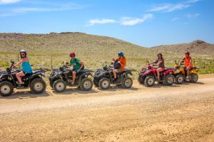 Activity - Quad Safari
