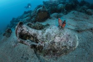Activity - Diving Site program