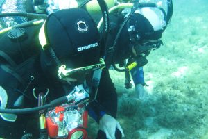 Activity - Diving Discovery program