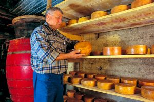 Activity - Pag Cheese Road
