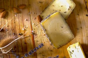 Activity - Pag Cheese Road