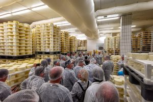 Activity - Pag Cheese Road