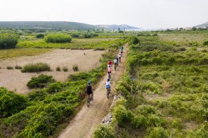 Activity – Bike Zaglava