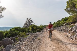 Aktivnost - Bike Zaglava