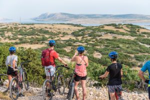 Activity – Bike Zaglava
