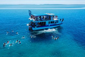 Activity – Islands of Silba and Olib - Boat KitKat