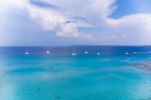 Activity – Islands of Silba and Olib - Boat Franeša
