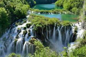 Tour - Five National Parks