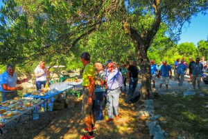 Tour - Routes of Lun’s Olives
