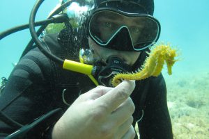 Tour - Scuba diver class