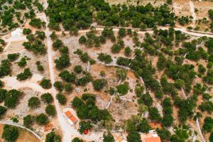 Tour - Roads of the Island of Pag
