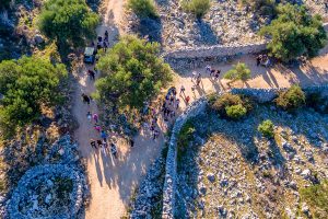 Tour - Routes of Lun’s Olives